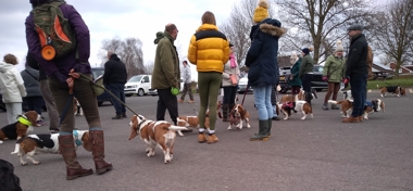 Bassets Burnham